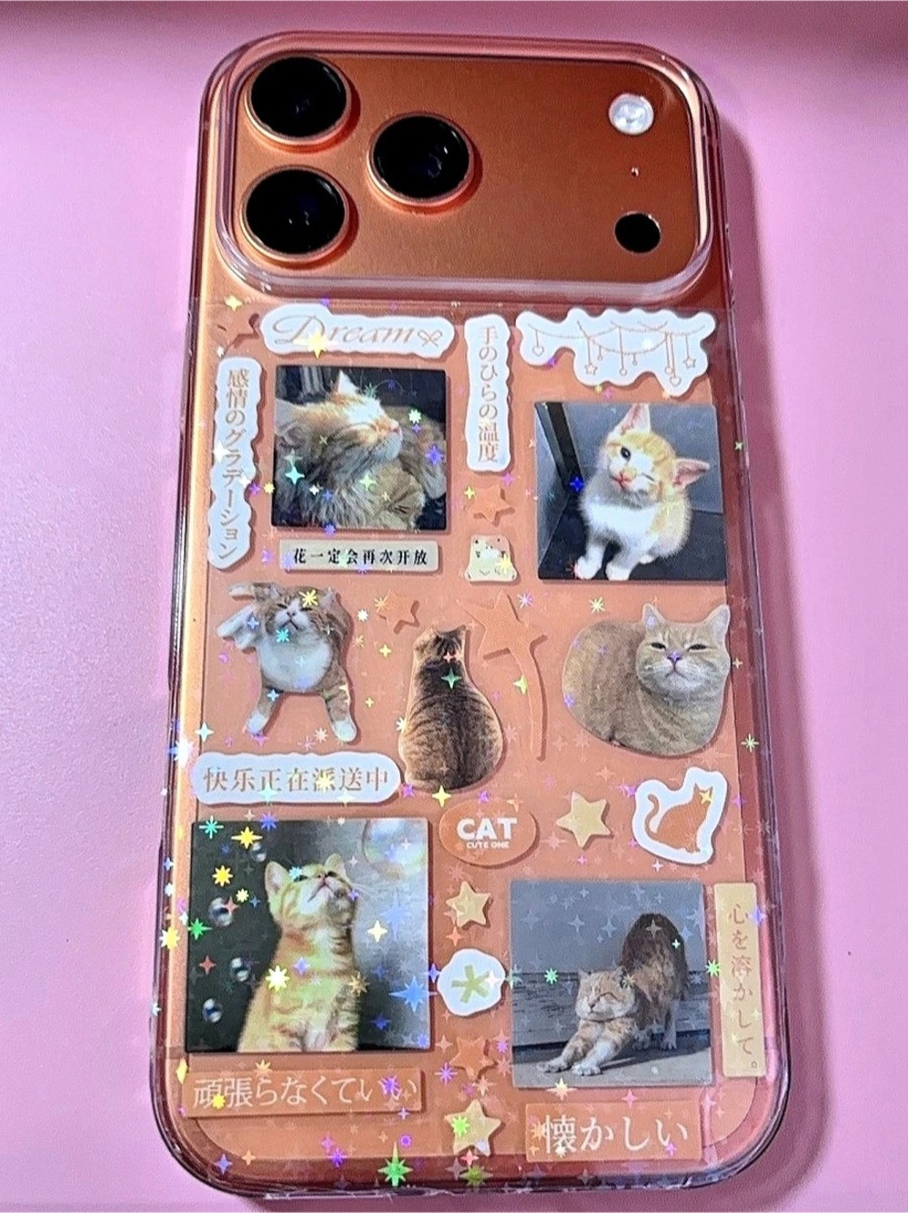 Handmade Cat Orange Clear iPhone 17PM/18PM Case